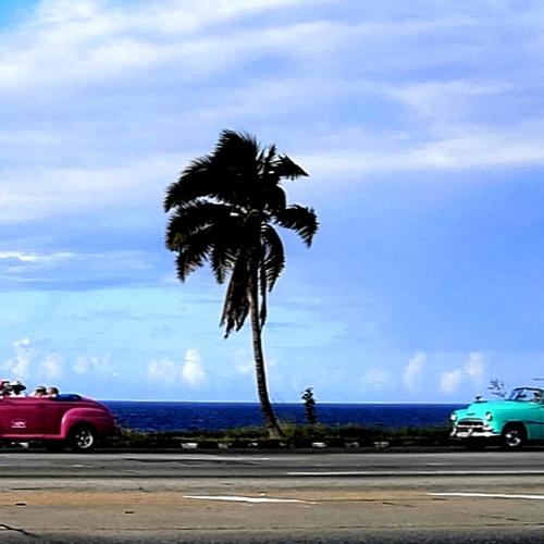Photo #5389652