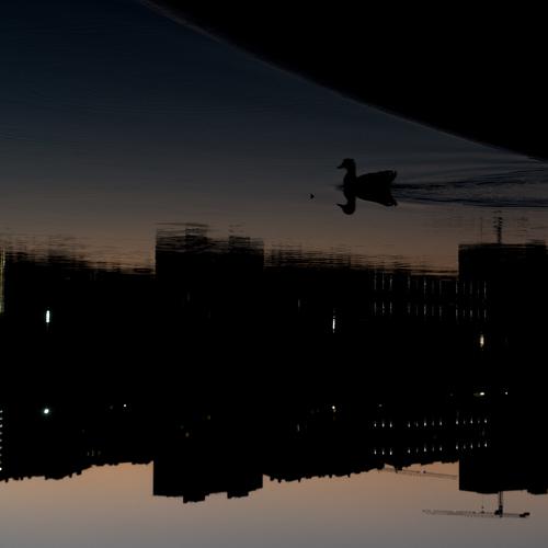Photo #5389818
