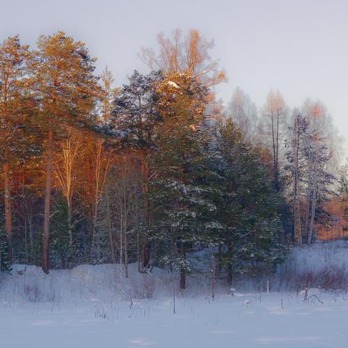 Photo #5389876
