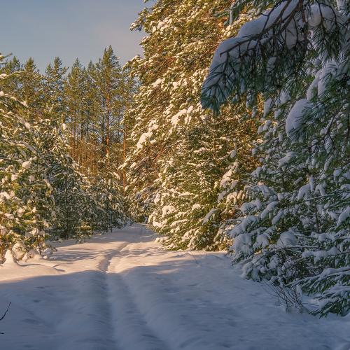 Photo #5389881