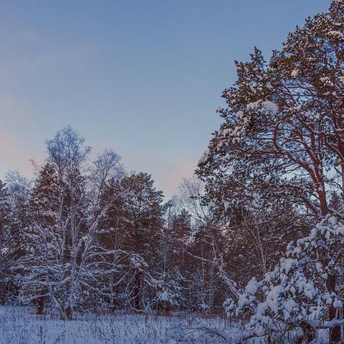 Photo #5389882