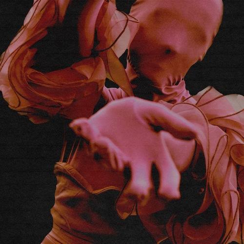 Photo #5390751