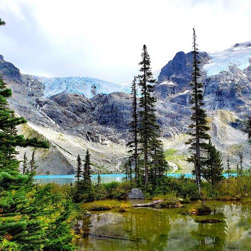 Photo #5390965