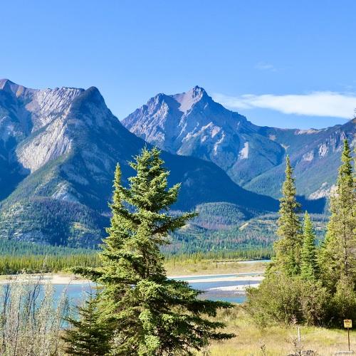 Photo #5390973