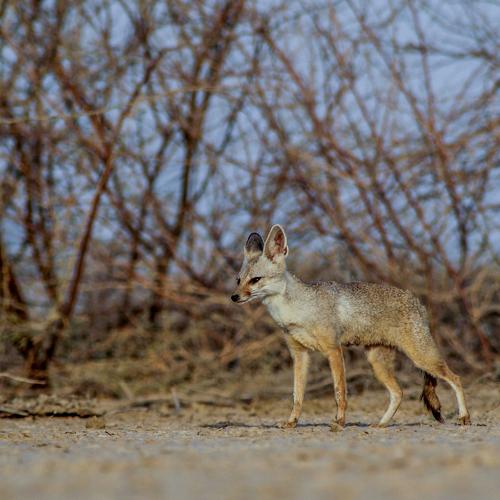 Photo #5391053