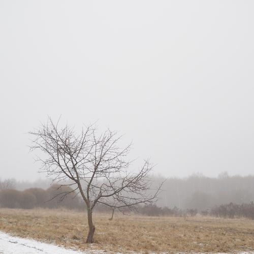Photo #5391257