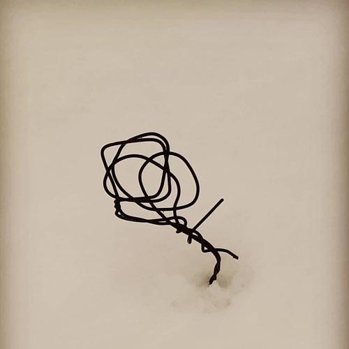 Photo #5391340