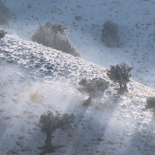 Photo #5391415