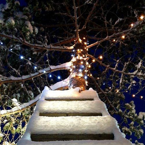 Photo #5391454