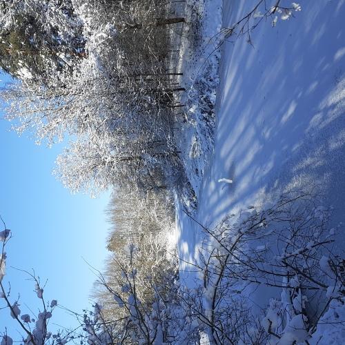 Photo #5391479