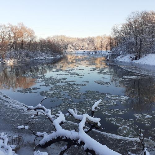 Photo #5391753