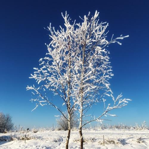 Photo #5391778