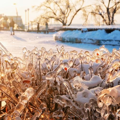 Photo #5392104