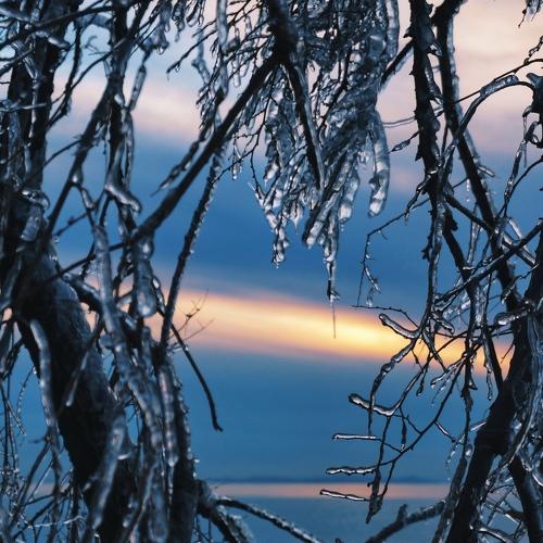 Photo #5392106
