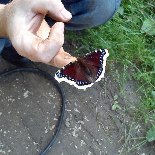 Photo #5392706