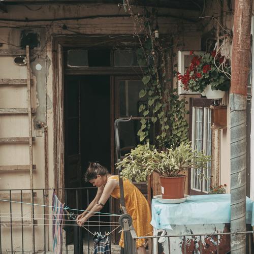 Photo #5392864