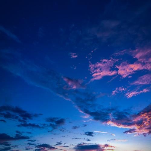 Mobile landscape