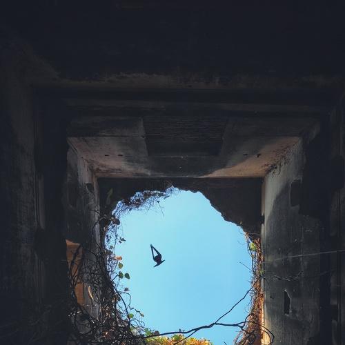 Free from cage