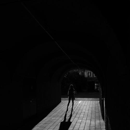 Photo #5393564
