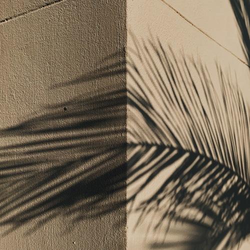 Photo #5393565