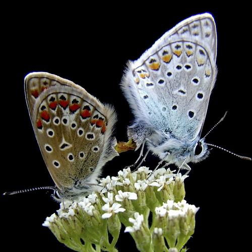 Photo #5393594