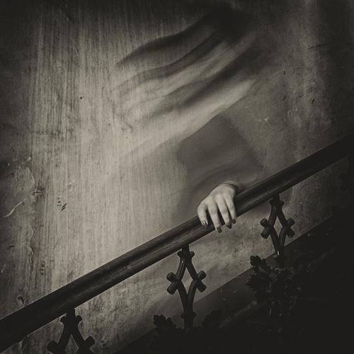 Photo #5393647