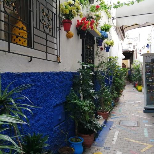 Photo #5393899