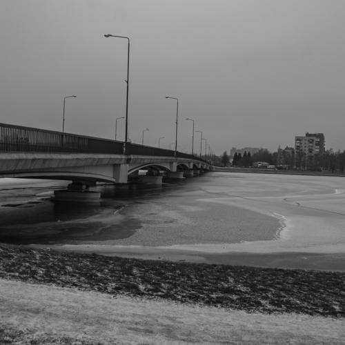 Photo #5394174
