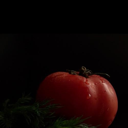 Photo #5394442
