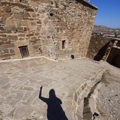 Photo #5394521