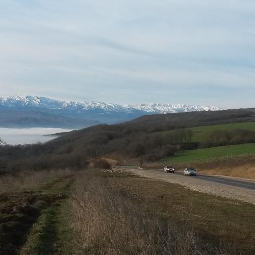 Photo #5394709