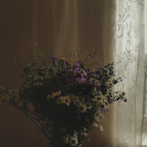 Photo #5394874