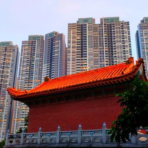 Photo #5395166