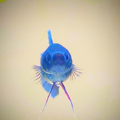 Photo #5395188
