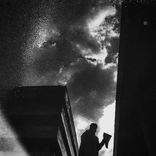 Photo #5395946