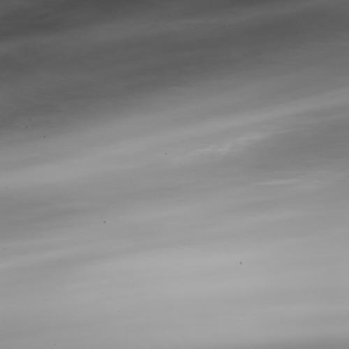 Photo #5398014