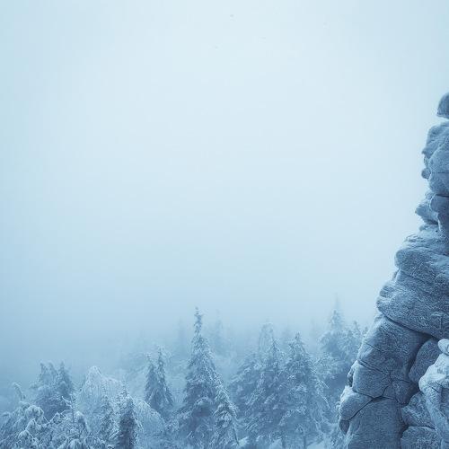 Photo #5398044