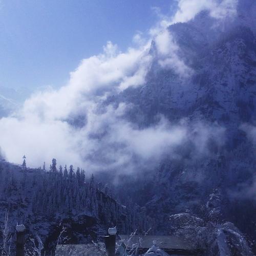 Photo #5398057