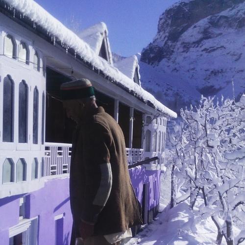 Photo #5398068