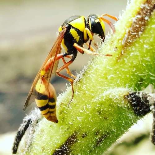 Photo #5398329
