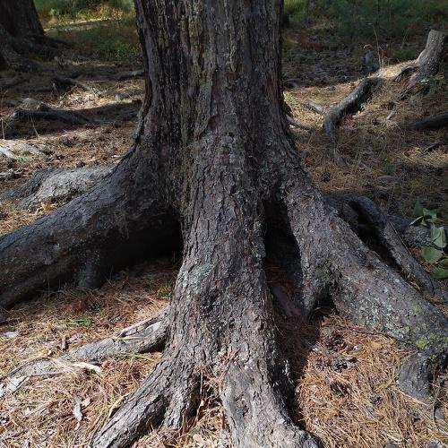 Photo #5398535