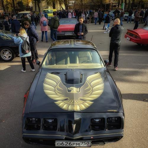 Photo #5398671