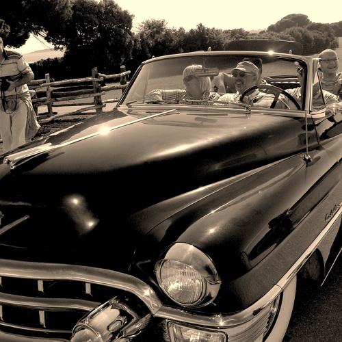 Photo #5399448