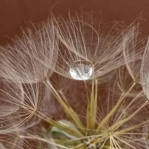 Photo #5399792