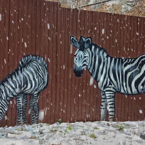 Photo #5399916