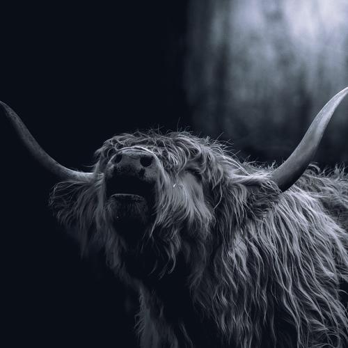 Photo #5400046