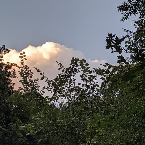 Photo #5400480