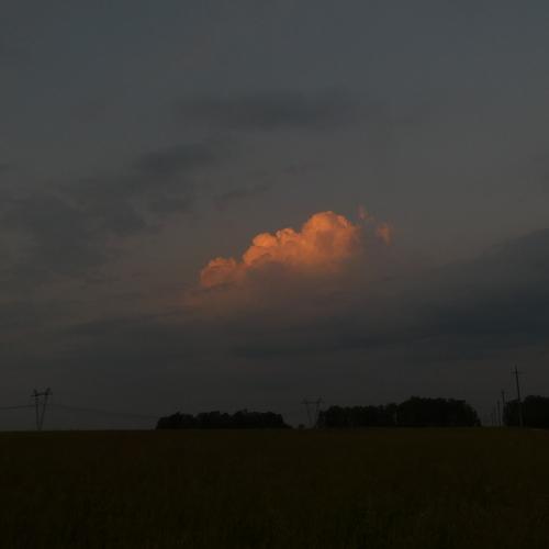 Photo #5401367
