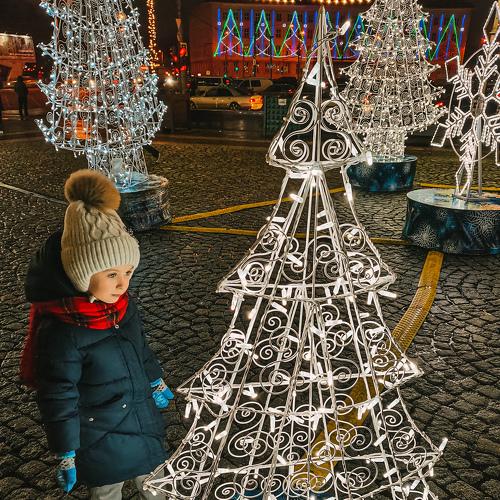 Photo #5401391
