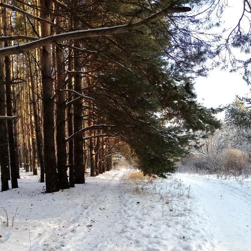 Photo #5401753